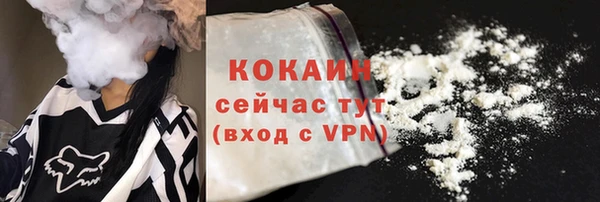 прущие крисы Бородино