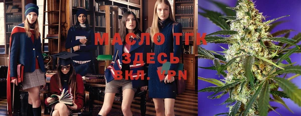 прущие крисы Бородино