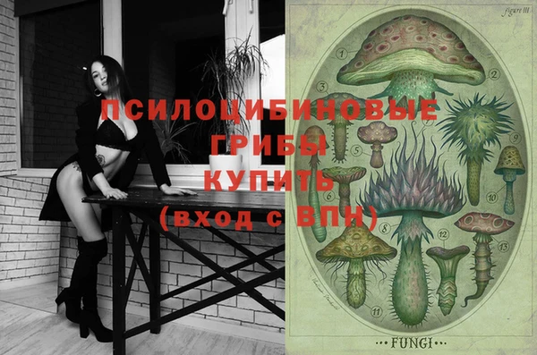 гашиш Богородицк