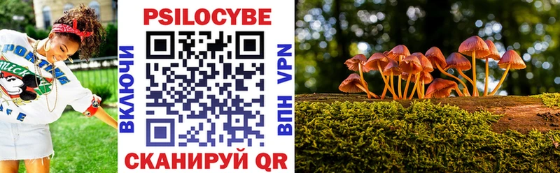 Псилоцибиновые грибы GOLDEN TEACHER  Купить  Кулебаки 